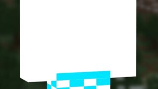 1000001731-448b1650