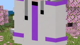1000022814-697ebbae