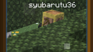 2026-03-03_13.06.13-ba9d6d3e