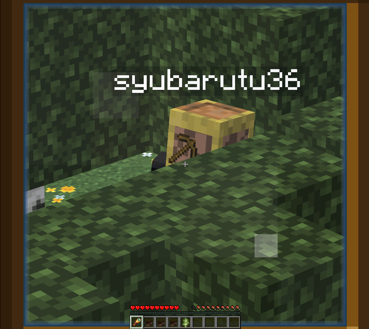 2026-03-03_13.06.13-ba9d6d3e