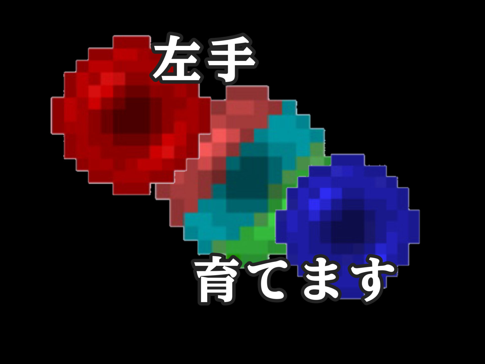 IMG_0307-1cce7502