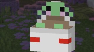 IMG_3923-16bb065e