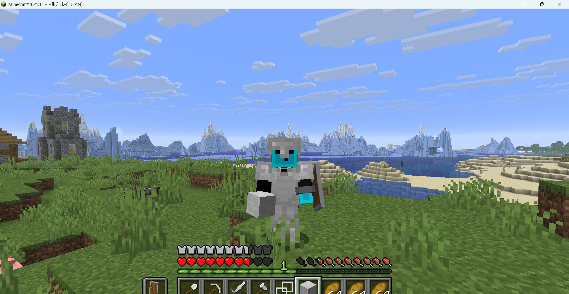 Minecraft_ 1.21.11 - マルチプレイ（LAN） 2026_04_13 15_57_41-234ac2ff