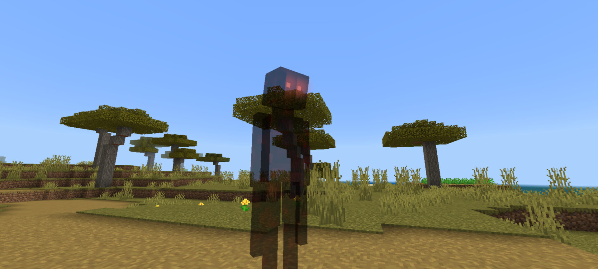 Screenshot_20241125_235007_Minecraft.jpg