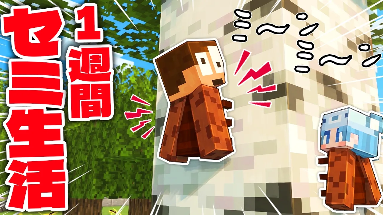 maxresdefault-8c15b999