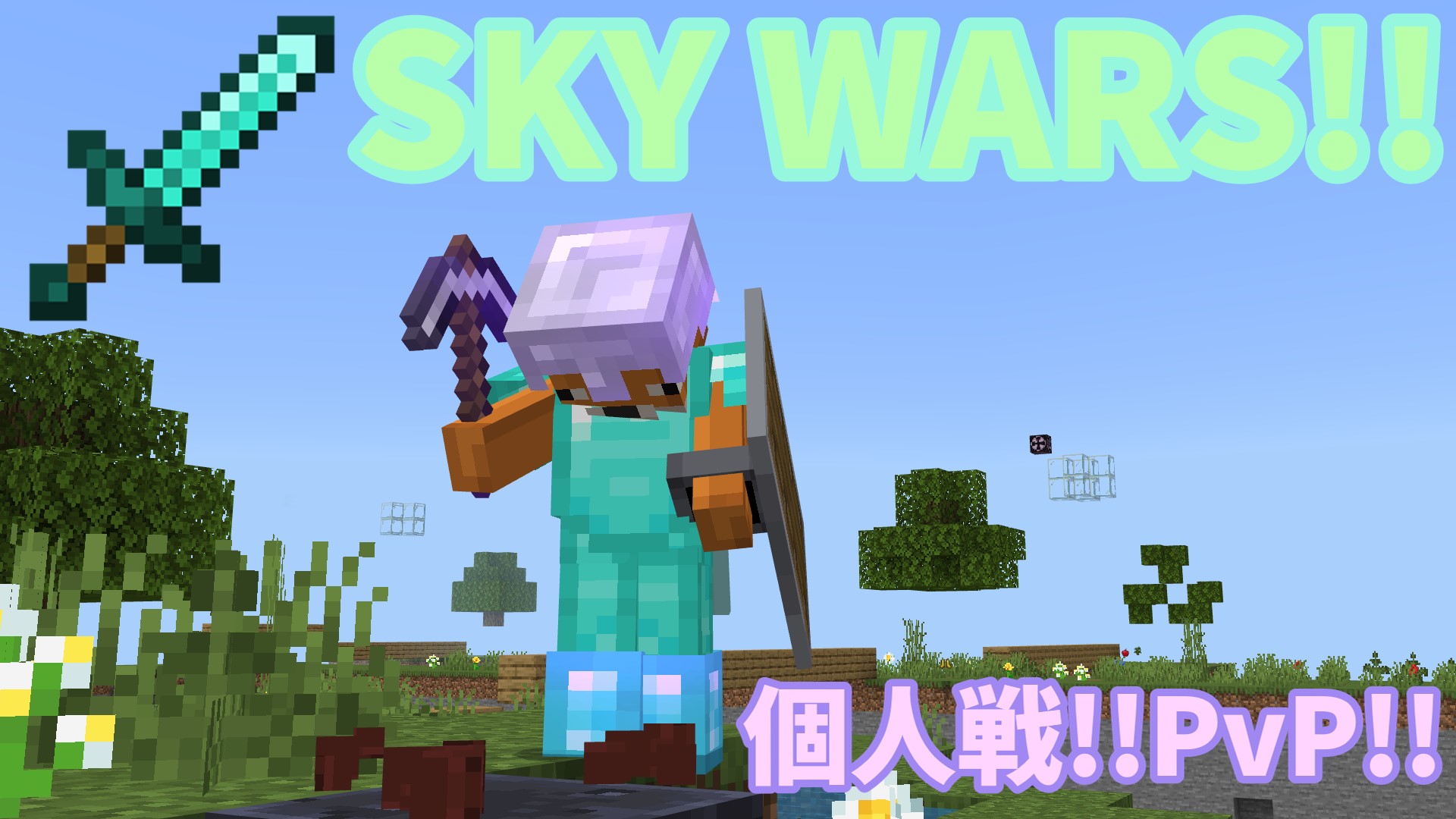 sky s-864d9f09