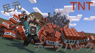 足元TNTデータパック_サムネイル.001_compressed-c5ab9b91